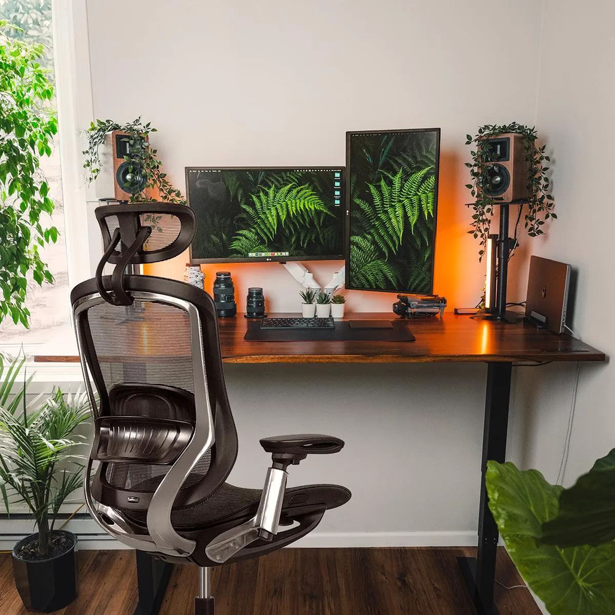 Arbor Bundle