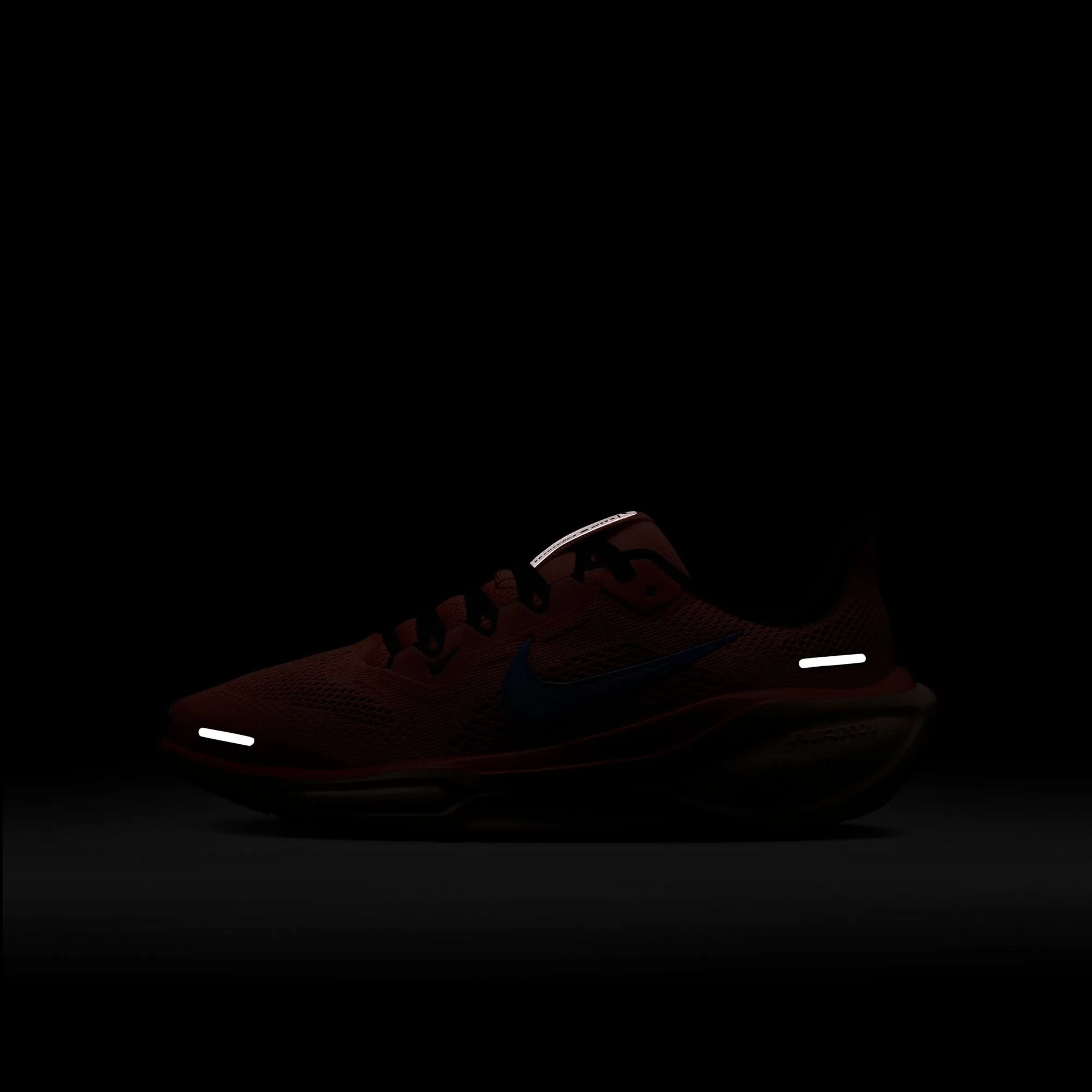 Nike Pegasus 41 Shoes