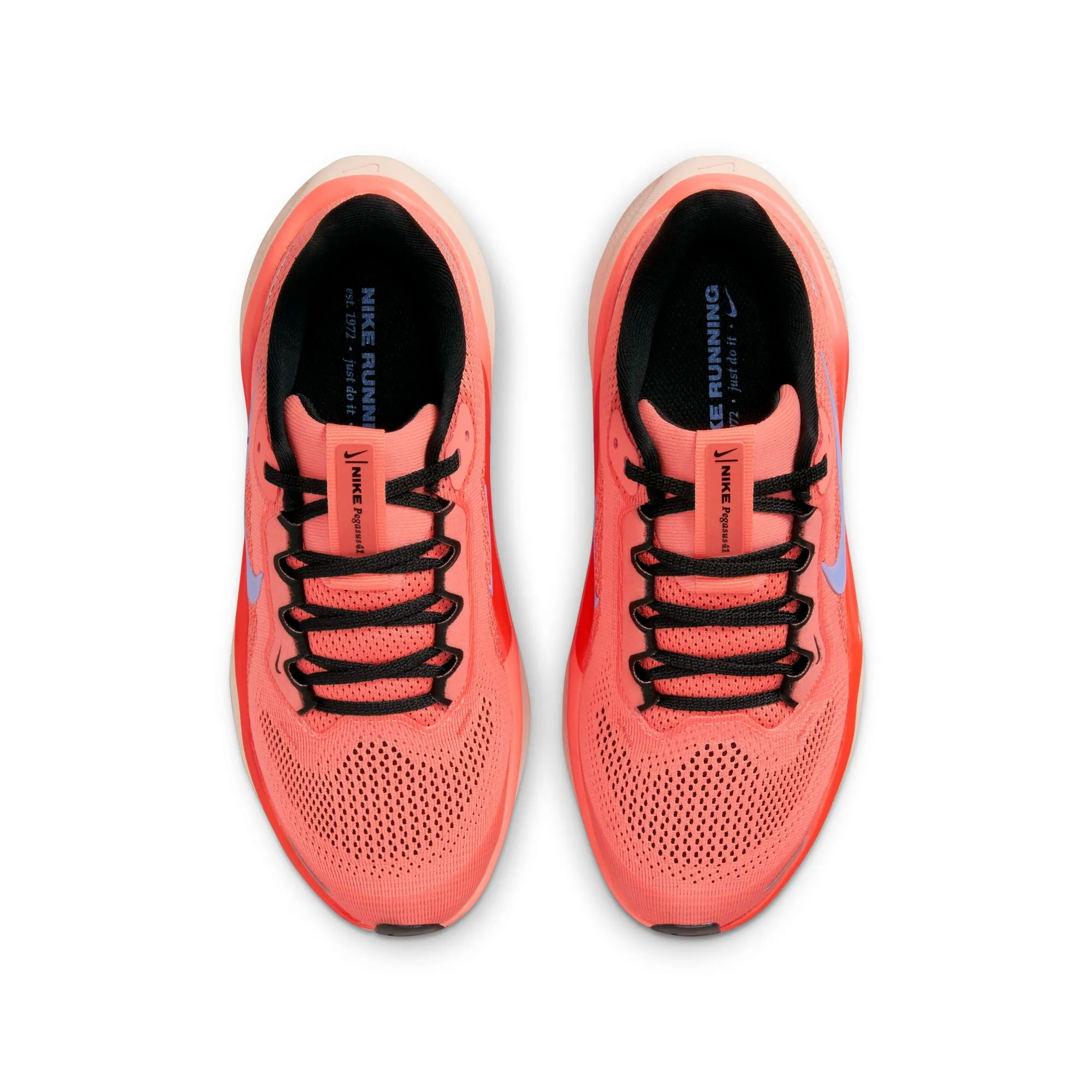 Nike Pegasus 41 Shoes